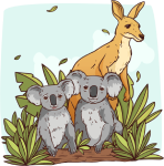 Australia's unique wildlife